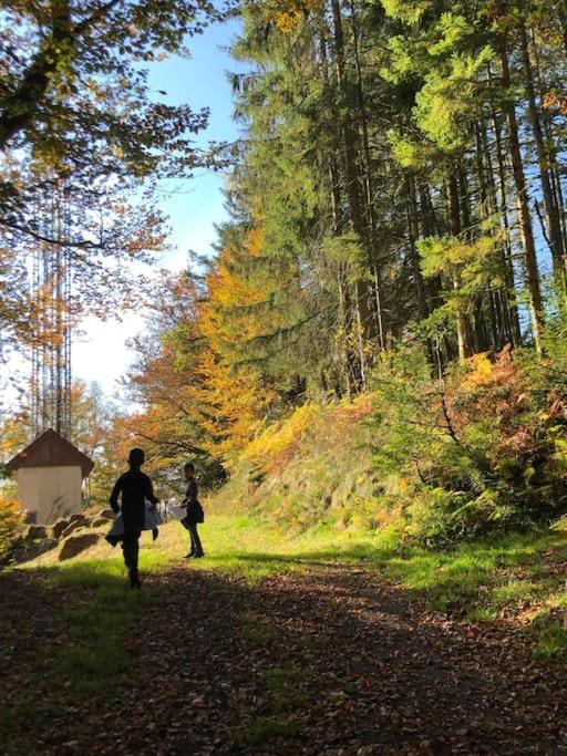 Le Chalet Des Coeurs Le Tholy Exterior foto