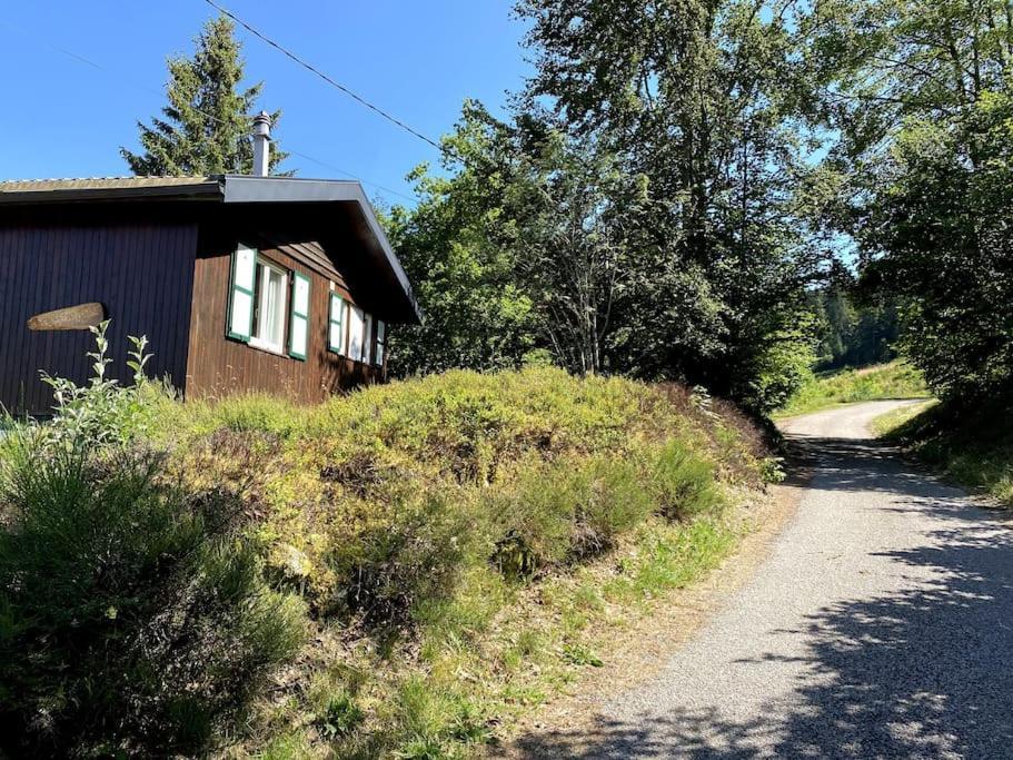 Le Chalet Des Coeurs Le Tholy Exterior foto